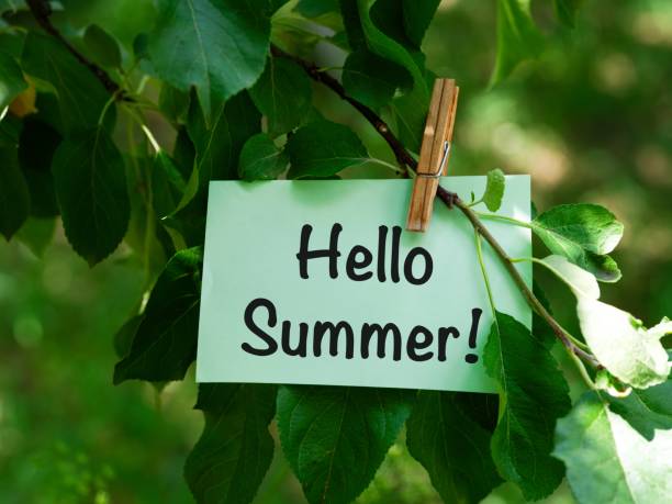 istock A green paper note with words Hello Summer! hanging on a tree branch. 1937530137