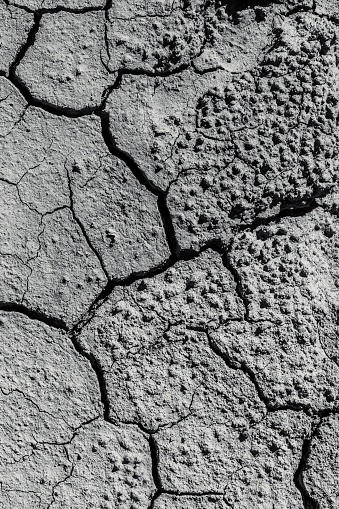 Cracked desert mud patch on the ground