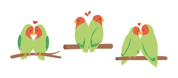 Vector illustration of Couple of lovebirds sitting on the tree brach