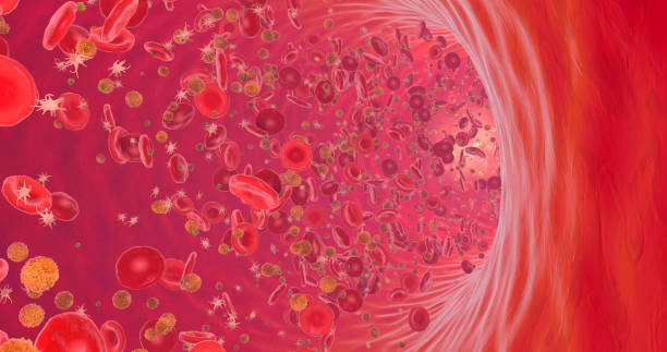 istock Blood cells circulating inside a blood vessel - 3D Illustration 1937566532