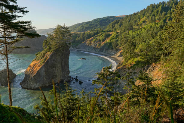 istock Oregon Coast from Arch Rock viewpoint. 1937576615