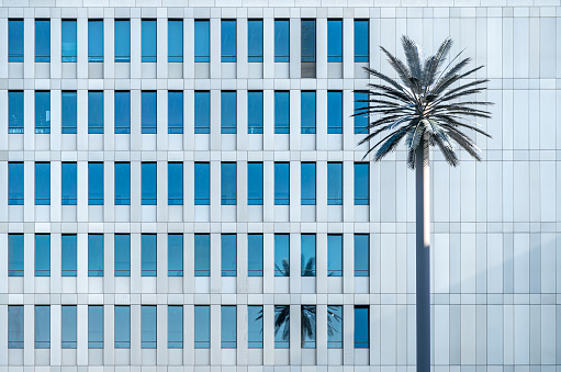 Germany, Berlin - October 18, 2023 - Full frame of modern office building with palm tree, Berlin central