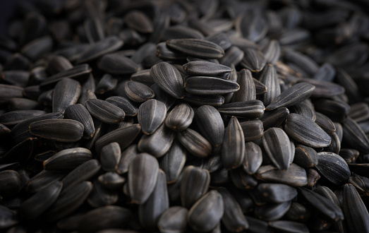 A pile of sunflower seeds. Close up.