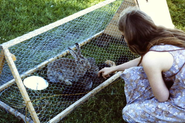 istock Young woman take care for the Rabbit 1937638842