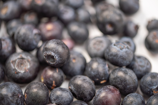 Scattered blueberries over white background.