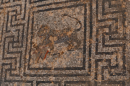 Mosaic of the House of the Wild Animals, Volubilis archaeological site, Morocco