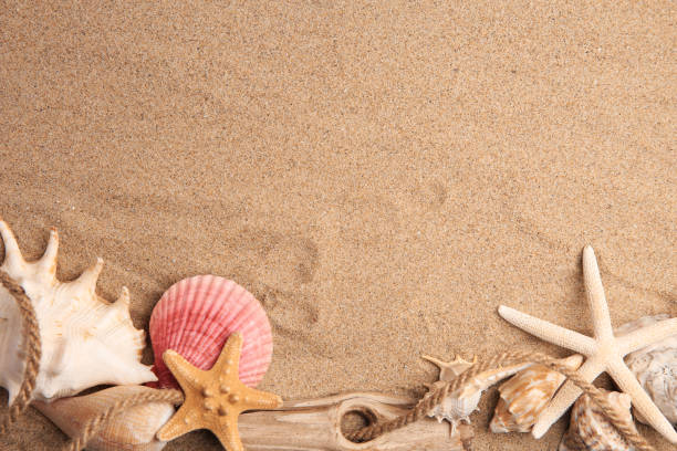 istock Beautiful starfishes, rope and sea shells on sand, flat lay. Space for text 1937722600