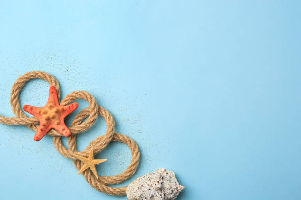 istock Beautiful starfishes, sea shell, rope and sand on light blue background, flat lay. Space for text 1937725761
