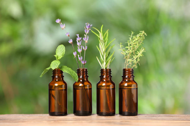 istock Bottles with essential oils and plants on wooden table against blurred green background 1937734720