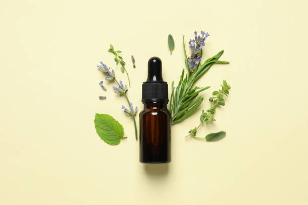 istock Bottle of essential oil and different herbs on beige background, flat lay 1937735238