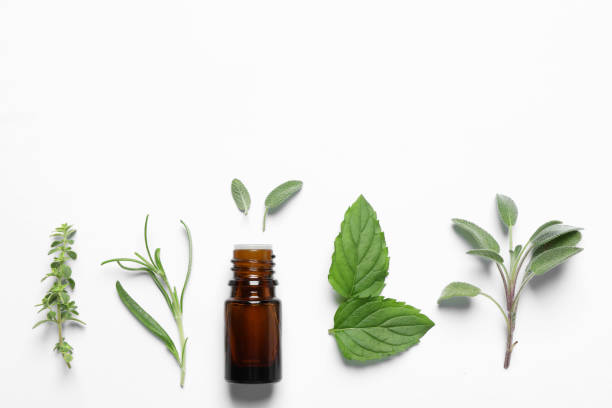 istock Bottle of essential oil and different herbs on white background, flat lay. Space for text 1937736318