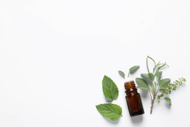 istock Bottle of essential oil and different herbs on white background, flat lay. Space for text 1937736320
