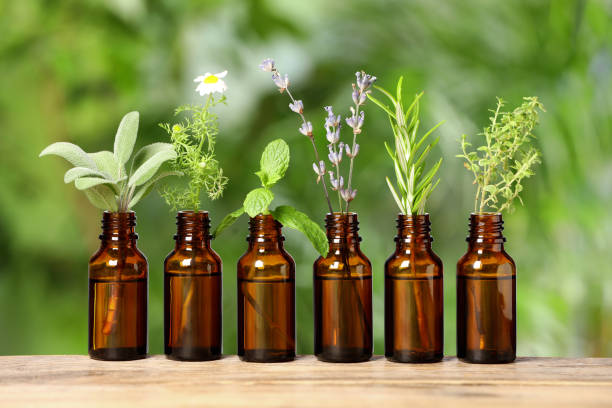 istock Bottles with essential oils and plants on wooden table against blurred green background 1937736829