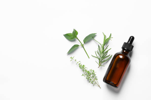 istock Bottle of essential oil and different herbs on white background, flat lay. Space for text 1937736848