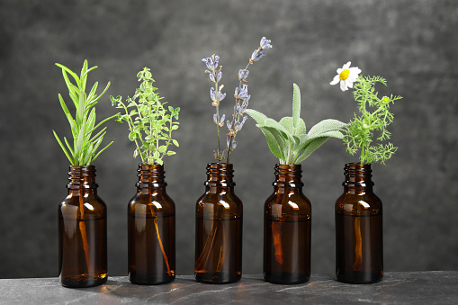 Bottles with essential oils and plants on grey textured table