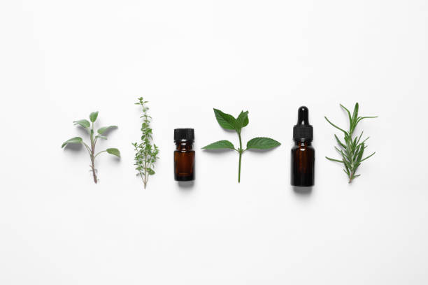 istock Bottles of essential oils and different herbs on white background, flat lay 1937737902