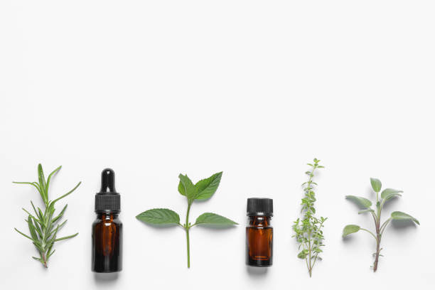 istock Bottles of essential oils and different herbs on white background, flat lay. Space for text 1937740186