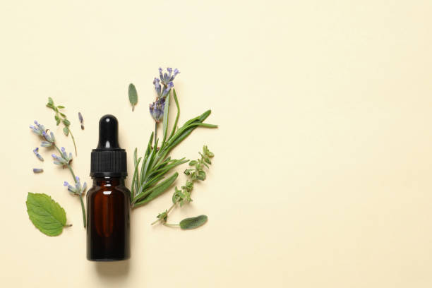 istock Bottle of essential oil and different herbs on beige background, flat lay. Space for text 1937741084