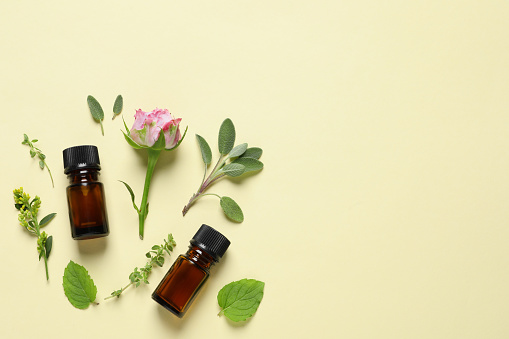 Bottles of essential oils, different herbs and rose flower on beige background, flat lay. Space for text