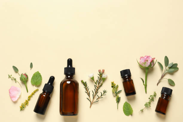 istock Bottles of essential oils, different herbs and rose flower on beige background, flat lay. Space for text 1937744251
