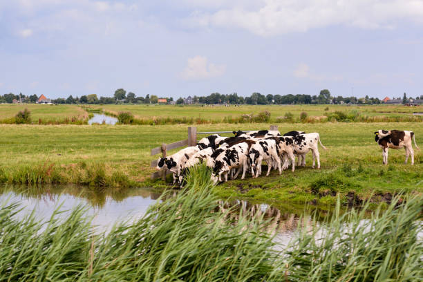 istock European natural countryside 1937746837