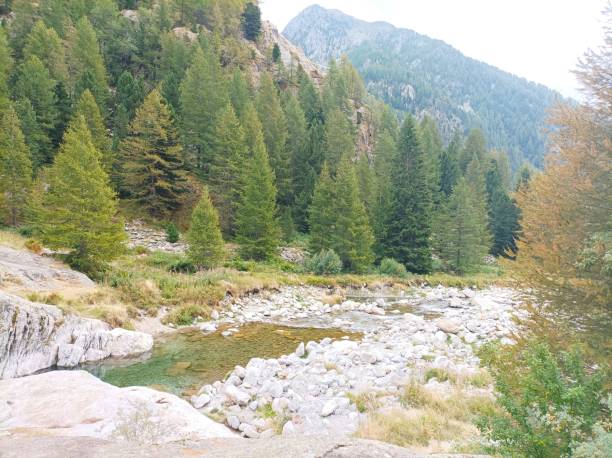 istock Mercantour National Park 1937748923