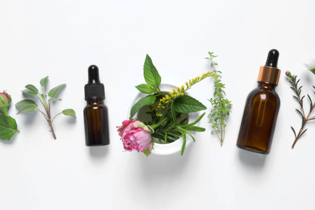 istock Bottles of essential oils, different herbs, rose flower and bud on white background, flat lay 1937755625