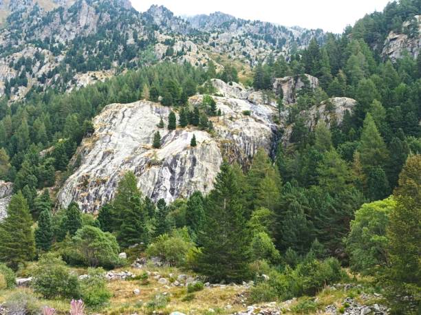 istock Mercantour National Park 1937759873