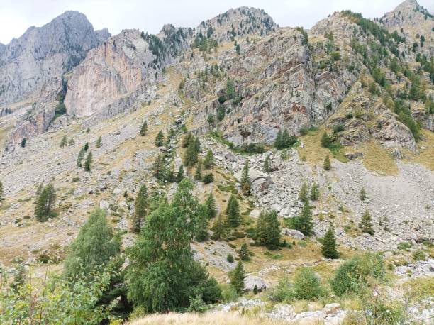 istock Mercantour National Park 1937759875