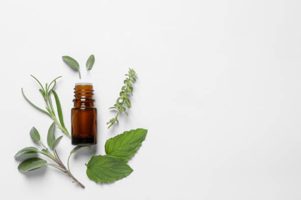 istock Bottle of essential oil and different herbs on white background, flat lay. Space for text 1937760421