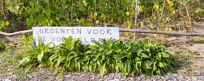 Dutch information panel in community garden in Ede  Gelderland The Netherlands