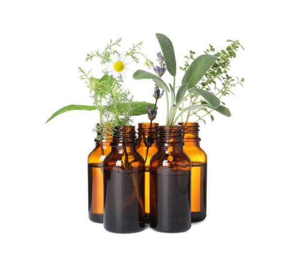 istock Many bottles with essential oils and plants isolated on white 1937776828