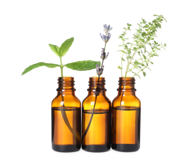 istock Bottles with essential oils and plants isolated on white 1937776999