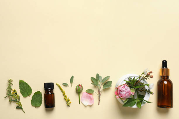 istock Bottles of essential oils, different herbs and rose flower on beige background, flat lay. Space for text 1937788067