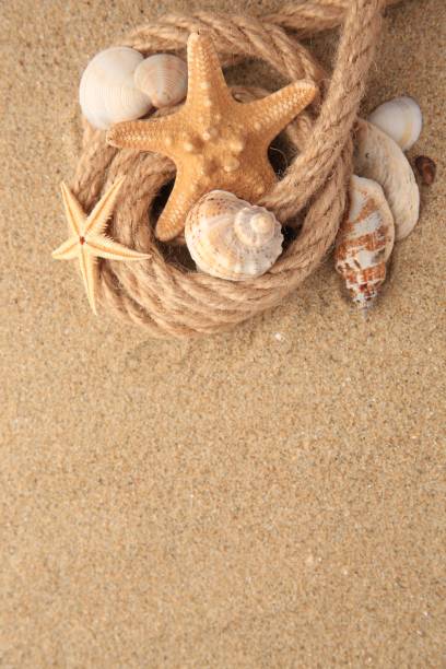 istock Beautiful sea stars, shells and rope on sand, flat lay. Space for text 1937794910