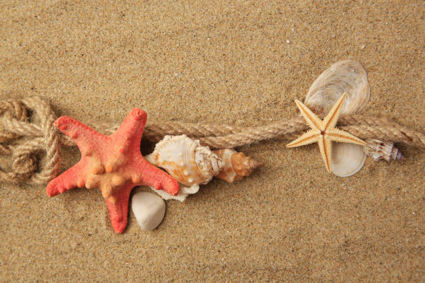 istock Beautiful sea stars, shells and rope on sand, flat lay 1937799224