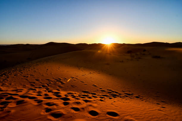 istock sunset in desert, photo as background 1937820846