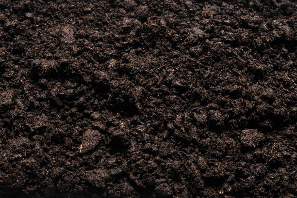 istock Black land for plant background. 1937821379