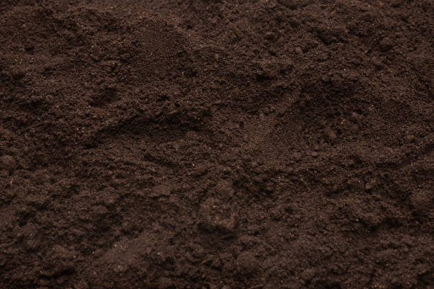 istock Black land for plant background. Top view. 1937821901