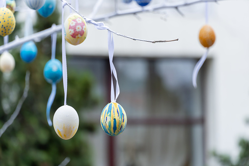 Colorful handmade egges for easter in branches outdoor. Decorating trees with hanging eastereggs in city street. Tradition holiday on christianity religion. Symbol of resurrection to new life.