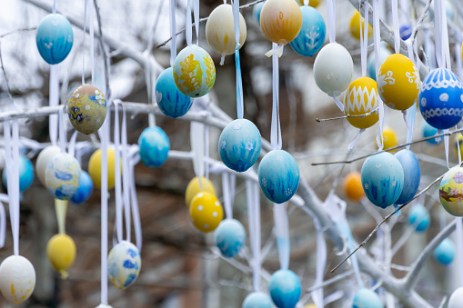 Colorful handmade egges for easter in branches outdoor. Decorating trees with hanging eastereggs in city street. Tradition holiday on christianity religion. Symbol of resurrection to new life.