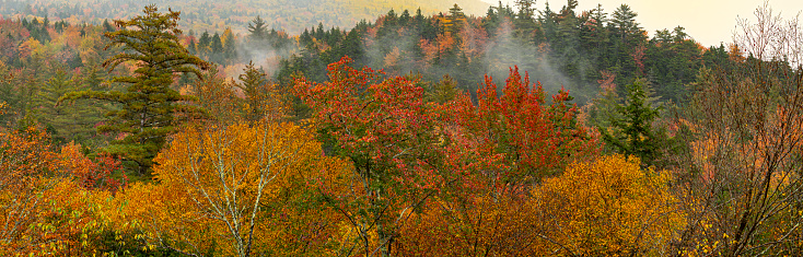 Autumnal leaf coloured forests on the Kancamagus Highway towards White Mountain.
