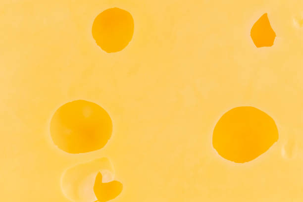istock texture of fresh cheese with large holes 1937892730