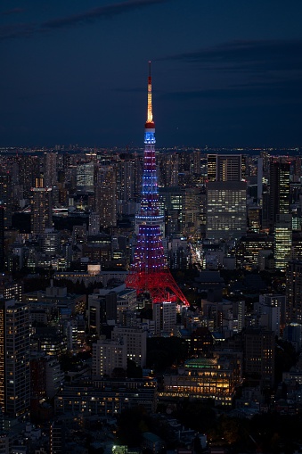 Tokyo, Japan – January 18, 2023: Tokyo skyline lit up against the night sky, illuminated by the bright lights of the Tokyo Tvower