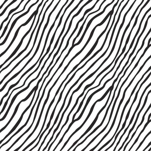 векторный бесшовный узор из черно-белых волнистых полосок, рисунок кожи зебры - seaweed seamless striped backgrounds stock illustrations