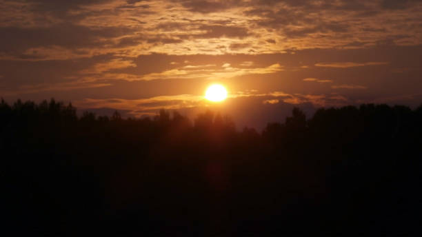 istock Summer sunrise over the forest 1937951276