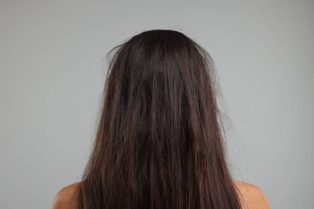 istock Woman with damaged messy hair on grey background, back view 1937952836