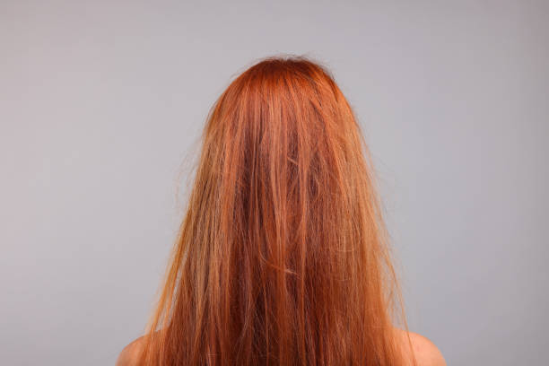 istock Woman with damaged messy hair on light grey background, back view 1937953891