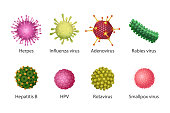 virus-gesetzt-isolierte-vektorillustration.jpg?b=1&s=170x170&k=20&c=Tk78F7QVva42-JjkROtOU4u1JFNDXAYRrbPuusDf_fg=