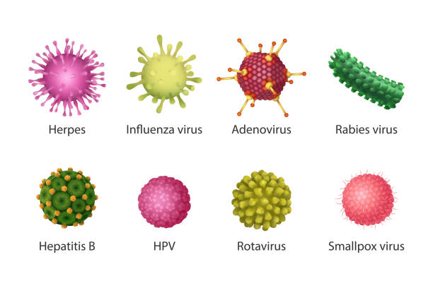 Virus set. Isolated vector illustration vector art illustration